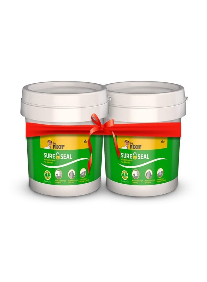 دكتور فيكسيت دكتور فيكس إت شور سيل 1 كجم، عازل مائي منزلي الصنع للرطوبة الخفيفة | إصلاح سريع للجدران الداخلية والخارجية، عبوة إصلاح أسقف من قطعتين - Image 1